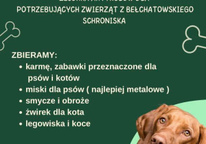 Plakat zawiera zdjęcie psa na zielonym tle oraz tekst :4 kwietnia Światowy Dzień Zwierząt Bezdomnych. Zbiórka artykułów dla potrzebujących zwierząt z bełchatowskiego schroniska. Zbieramy: karmę i zabawki przeznaczone dla psów i kotów, miski dla psów (najlepiej metalowe), smycze i obroże, żwirek dla kota, legowiska i koce. Zbiórka trwa do 3 kwietnia 2025 roku. Dziękujemy.