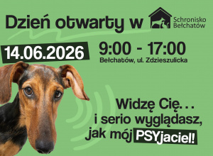 Dzień Otwarty w Schronisku w Bełchatowie